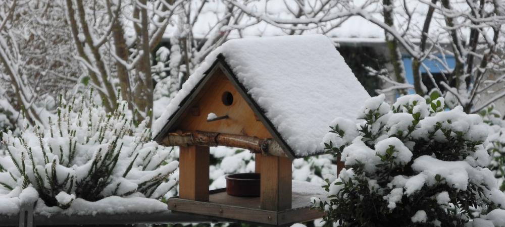 Winter birdhouse